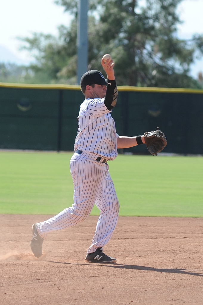 Seals_2019-10-09 (348).JPG - (c)2010 DeVetter